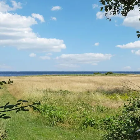Dom wakacyjny Piękny Dom W Sejerø Z Kuchnią *